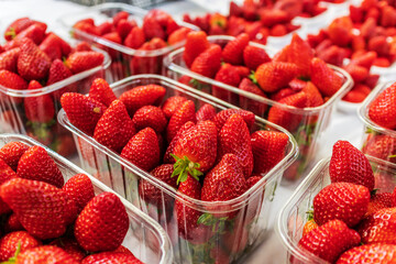 Rows of punnets with ripe fresh strawberries. 
