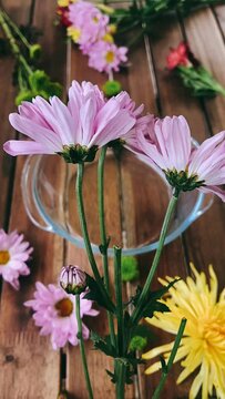 bouquet of flowers, flower, pink, nature, flowers, garden, plant, bouquet, beauty, spring, blossom, summer, flora, purple, floral, daisy, bloom, petal, white, beautiful, color, colorful, blooming, iso