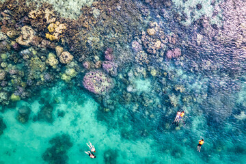 Tourist snorkeling with coral reef in tropical sea on vacation