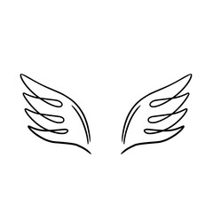 Wings icon, bird drawing in spread and motion