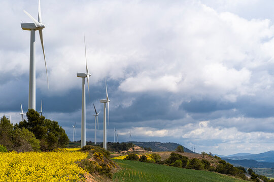 Wind turbines to generate clean energy among flowering rapeseed fields in the province of Tarragona in Spain