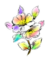 Beautiful sketchy drawing of a twig with blooming flowers, floral design element. A careless freehand sketch of black ink and bright multicolor spots. Vector illustration isolated on white background.