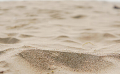 sand on the beach