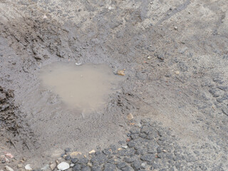 A closeup shot of a muddy puddle in a cracked road.