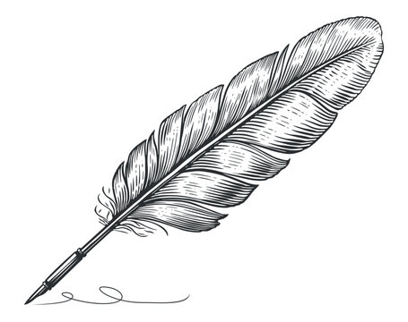 Feather quill pen graphic black white isolated sketch illustration vector
