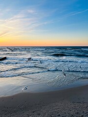 Flying seagulls at the sea, sunset seascape, big seagulls in the sky