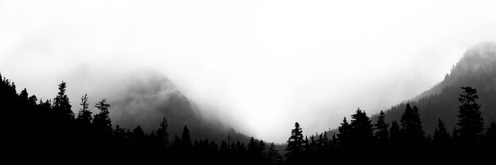 Pacific Northwest Mountain Mist