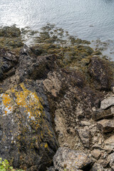 Rocks and ocean