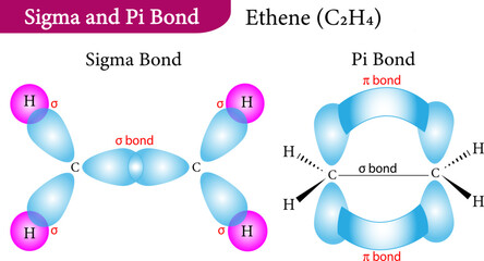 Vector illustration of Sigma and Pi Bonds - obrazy, fototapety, plakaty