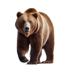 Ferocious brown grizzly bear on a transparent background. AI generator