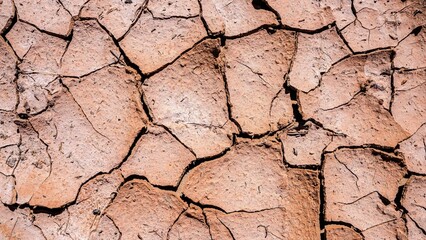 Nature's Struggle: Close-Up of a Dried-Up Lake Bottom, Cracked Dirt Background in 4K, Portraying the Resilience and Endurance of the Natural World