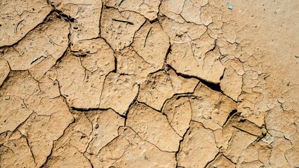 Nature's Struggle: Close-Up of a Dried-Up Lake Bottom, Cracked Dirt Background in 4K, Portraying the Resilience and Endurance of the Natural World