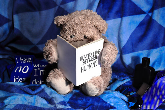 Charming Teddy Bear sits on a blue blanket reading a book. Next to him lay male stuff and cute socks. Evening reading time, cute education and socialization concept. 