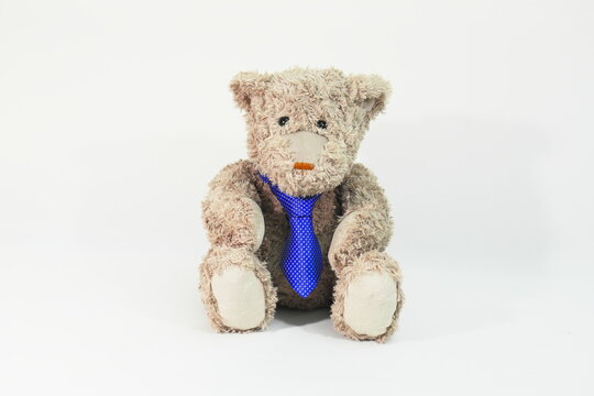 Charming plush Teddy Bear wearing blue necktie sits on white photography background. Cute and elegant business concept.