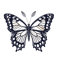 Obraz na płótnie Canvas butterfly black outline on transparent background, butterfly clipart, butterfly silhouette, black and white butterfly, transparent butterfly, butterfly graphic, butterfly tattoo