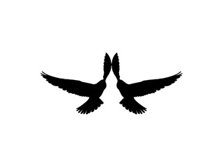 Silhouette of the Flying Pair Bird of Prey, Falcon or Hawk, for Logo, Pictogram, Website, Art Illustration, or Graphic Design Element. Vector Illustration 