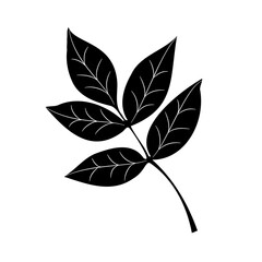 A stylized tree leaf. Vector illustration of a hand-drawn plant with lines.