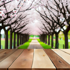 Selective focus, Wood table top on blur soft focus sakura (cherry blossom) background. For montage product display. generative ai. - 608776536