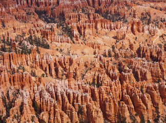 Bryce Canyon Natiional Park Utah USA orange rock formations cliff and pine trees