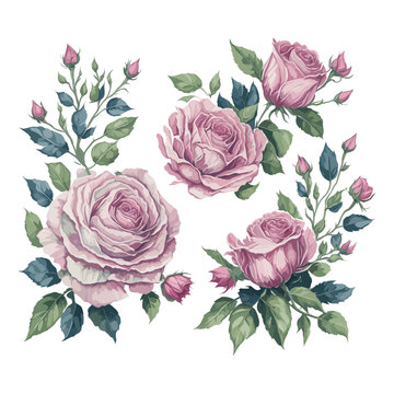 Enchanting Pink and Green Rose Watercolor Floral Arrangement Set