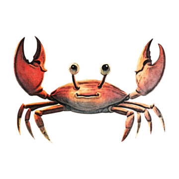 Crab Watercolor Illustration