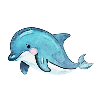 Dolphin Watercolor Illustration