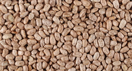 Colorful beans uncooked background and texture, top view