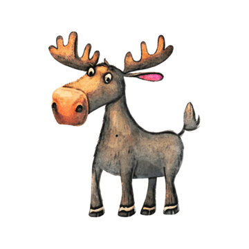 Moose Watercolor Illustration