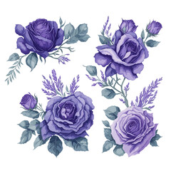 Elegant Purple Lavender Rose Watercolor Floral Collection