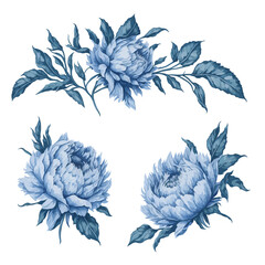 Elegant Blue Peonies Watercolor Floral Collection © ArtAmr
