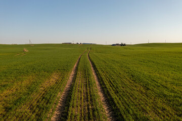 Fototapeta na wymiar Drone photography of agricultural field and tractor tire tracks