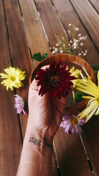 hands and flowers, red flower, flower, still life, hands and flowers, red flower, flower, still life, flower, flowers, bouquet, nature, beauty, spring, spa, pink, floral, blossom, bloom, summer, plant