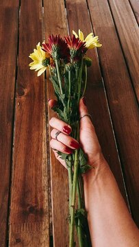 bouquet of flowers in hands, red flowers, flowers, floral,bouquet of flowers in hands, red flowers, flowers, floral, flower, tulip, bouquet, spring, isolated, nature, red, pink, blossom, white, plant,