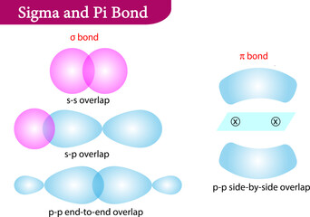 Vector illustration of Sigma and Pi Bonds - obrazy, fototapety, plakaty