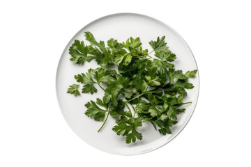 Raw Parsley On White Plate, Isolated On Transparent Background, Png. Generative AI
