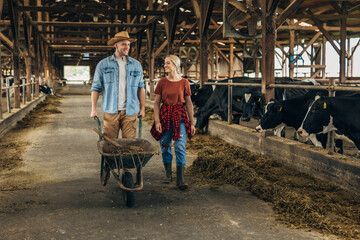 A man and a woman feeding cows in the stall.