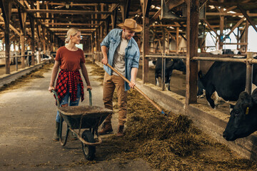 A man and a woman working together in a barn.