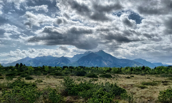 Blick &uuml;ber das Hochmoor Naturschutzgebiet Kendlm&uuml;hlfilzen bei Grassau in die Chiemgauer Alpen, Chiemgau, Bayern, Deutschland