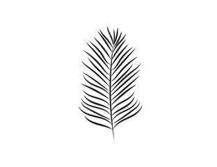 Palm leaf isolated on white background. Nature. Vector icon