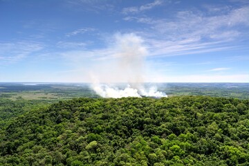 Photo of a dense forest engulfed in a massive plume of smoke