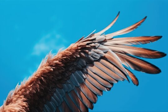 Wing of bird against blue sky. Generative AI