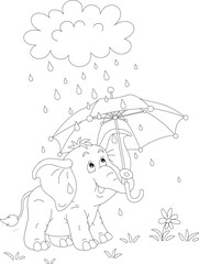 Little baby elephant hiding under a toy umbrella in a summer rain, black and white outline vector cartoon illustration for a coloring book