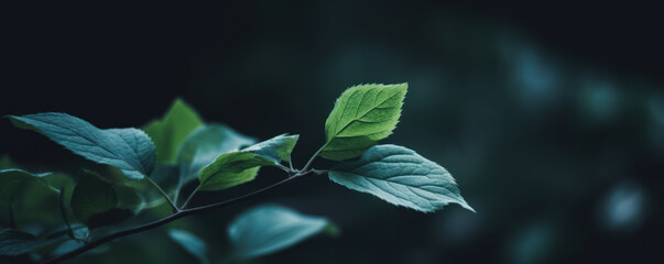 Obraz premium leaves