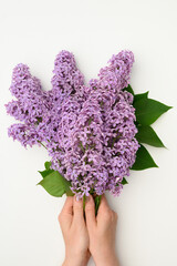 Beautiful purple lilac in female hands on a white background. Florist concept. Syringa vulgaris.Floral card