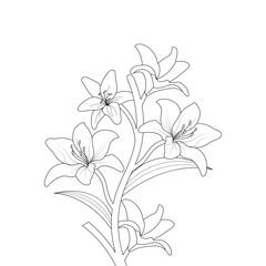 Lily Flower Coloring page Hand Drawn illustration With Line Art
