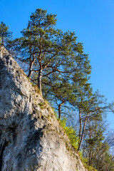Labajowa and Lipna Sciana limestone rock and climbing wall in Bedkowska Valley within Jura Krakowsko-Czestochowska upland near Cracow in Lesser Poland