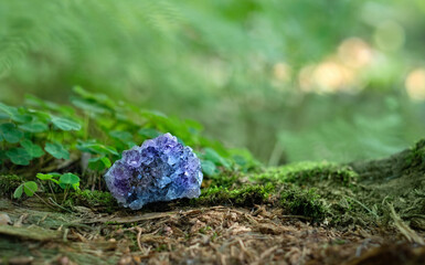 amethyst druse close up on natural blurred forest background. Gemstone for healing Magic Crystal...