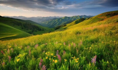 a field of wildflowers and other flowers in the mountains.  generative ai