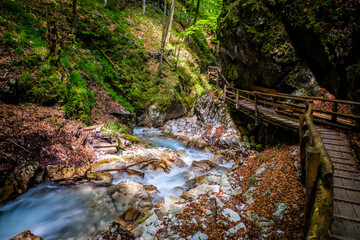View of rugged wilderness of the Dr. Vogelgesang-Klamm in Spital am Pyhrn, Austria, a narrow gorge...