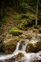 View of a creek cascading downhill through the rugged wilderness of the scenic Dr....